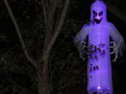 Naper Settlement Unveils All Hallow’s Eve and Howlin’ at the Moon Plans GHOST OF THE TREE