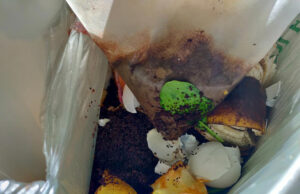 Naperville Expands Public Safety and Infrastructure Initiatives PICTURE OF FOOD