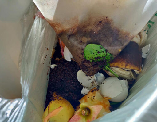 Naperville Expands Public Safety and Infrastructure Initiatives PICTURE OF FOOD